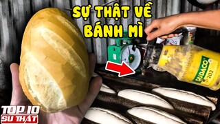 Bánh Mì Đê! Bánh Mì Đê! - 5 Sự Thật Gây Sốc Về Bánh Mì Mà Bạn Không Biết