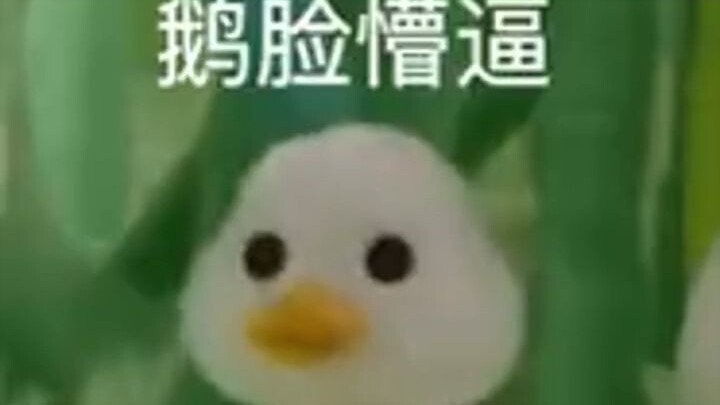 Rasanya kayak ilmu dipaksa masuk ke otak—aku ingat betul, bahkan seluruh alur ceritanya juga aku ing