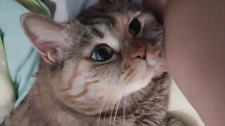 Aku butuh ibu menidurkanku agar bisa tertidur