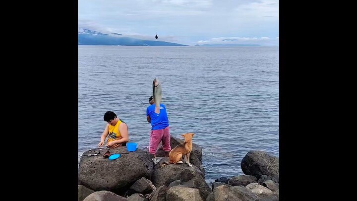 Fishing vlog :  Manghuli kami mga mananap