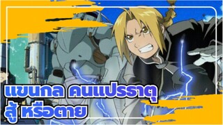 [แขนกล คนแปรธาตุ/AMV] สู้ หรือตาย