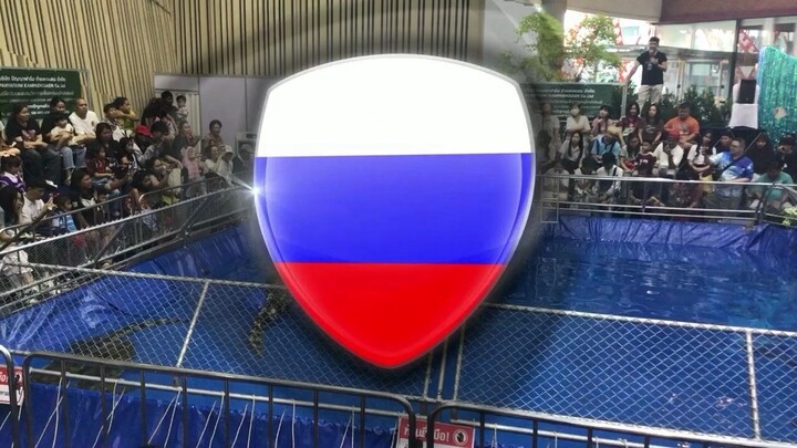 โชว์จับจระเข้
