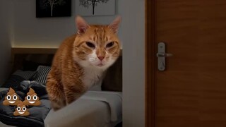 Takut gelap, saya tidak berani pergi ke toilet, jadi... . . . . . .