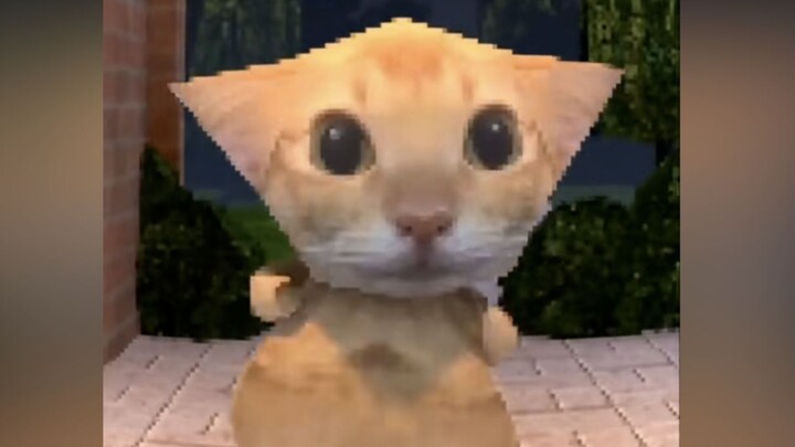 Amigadito ~ Meong meong ~ Tantangan