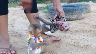 Cute Little Maki Shout cry Seizures When Mom Take him for a walk With baby Maku outside