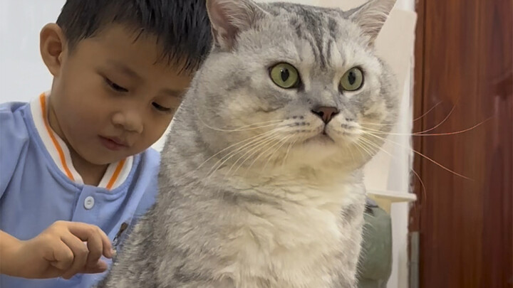 Little brother helps Dazhuang pluck his loose feathers