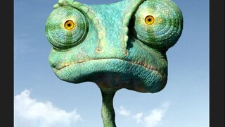 May I have your name? My name is rango. Lango