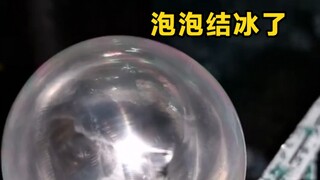 天太冷，泡泡就能这样玩。