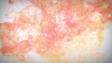 Pháp Sư Hoàng Gia Bị Trục Xuất Quyết Tâm Trở Thành Kẻ Mạnh Nhất Tập 9 thuyết minh