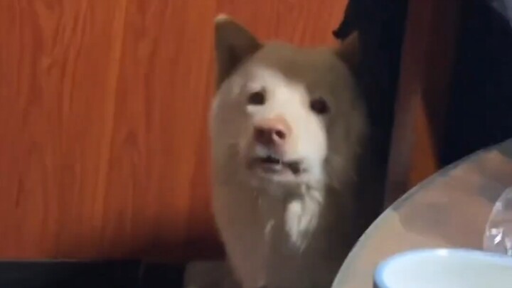 My girlfriend says not a single second needs to be cut.