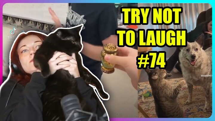 TRY NOT TO LAUGH CHALLENGE #74 | Kruz Reacts