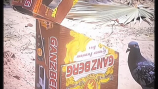 “有内鬼，终止交易”