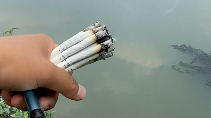 Penggemar memancing yang menabur umpan, setiap joran selalu ada sambaran