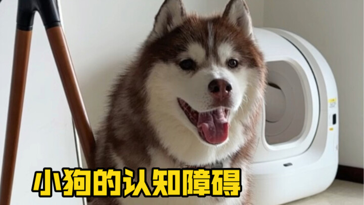 สถานการณ์ก็ยังเป็นแบบนี้แหละ…