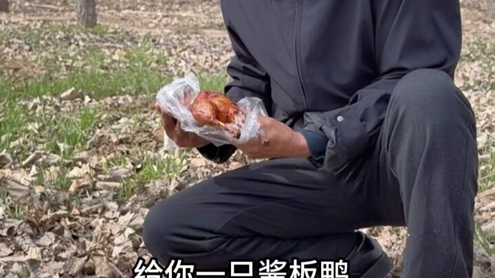 คุณลุงครับ ท่านเคยช่วยเป็ดพะโล้ตัวหนึ่งบนภูเขาหิมะไหม?