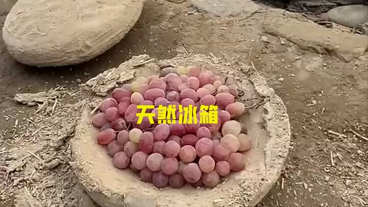 Kulkas alami di Afghanistan ternyata mampu menjaga kesegaran anggur selama setengah tahun!