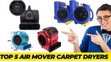 Best Air Mover Carpet Dryer Review 2023 ||