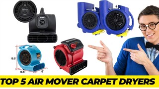 Best Air Mover Carpet Dryer Review 2023 ||