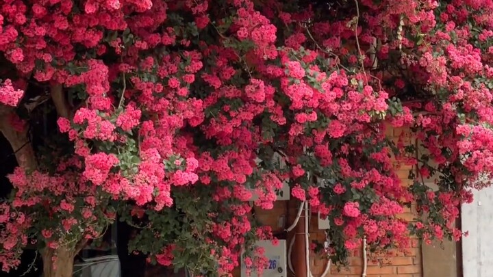 “Cutie, I had to share this super romantic moment with you!”