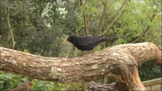 Best Praise And Worship Songs 2025, Special Worship Songs Playlist, Christian Mu