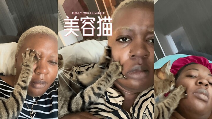 天天给我做脸部按摩的美容猫 🐱