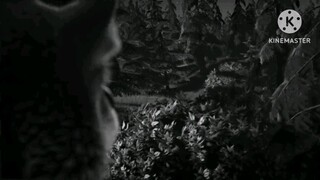 Ма́ша и Медве́дь Run Meme MV