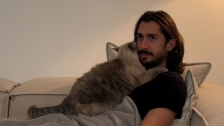 从猫发现你，到黏你需要多长时间