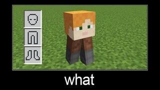 Minecraft wait what meme part 267 (Little Alex)