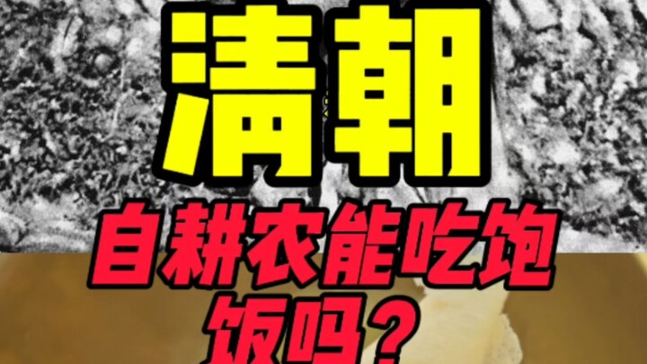 ชาวนาผู้ปลูกพืชเองในสมัยราชวงศ์ชิงมีอาหารกินเพียงพอหรือไม่?