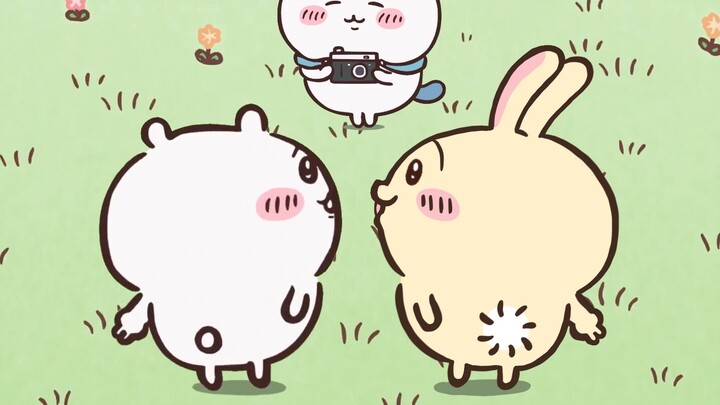 Usagi scratched his butt for half a minute