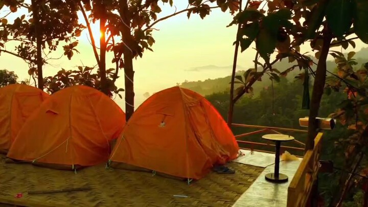 বন্ধুদের ভালোবাসা