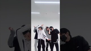MIRAE (목표) - Tiktok (Tubarão Te amo) #explore #flop #naoflopa #naoflopa #recommended #explore#shorts