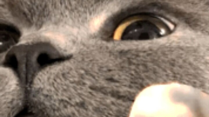 Awalnya orang-orang tidak memedulikan komentar itu...