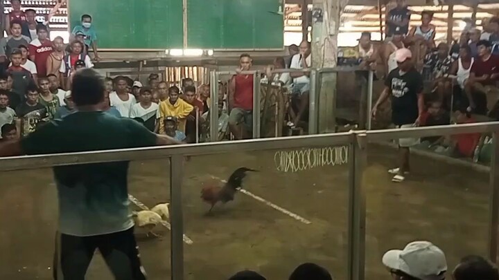 Kanawayon Fastest Kill