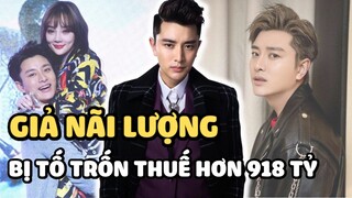 Giả Nãi Lượng bị tố trốn thuế hơn 918 tỷ nhờ ký hợp đồng ma livestream, chính chủ lên tiếng