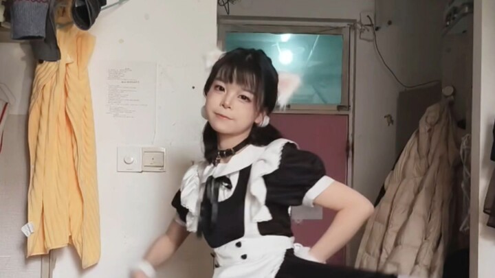 Maaf ya kucing kecil ini lucu banget(´ ▽｀).。ｏ♡