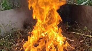 沉浸式体验 解压 红红火火 红火蚁