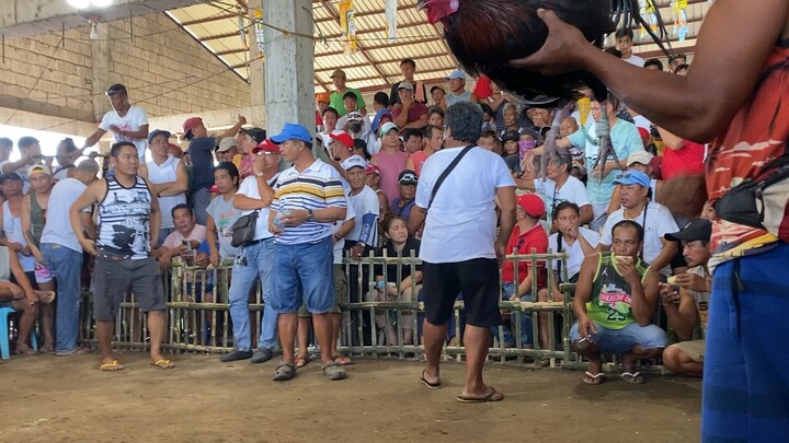 Fiesta serye 1st fight Win c Bagul pang 3x na.