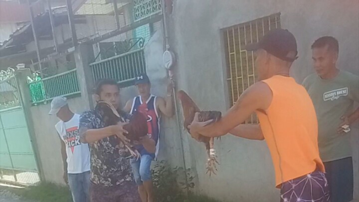 bisaya daw pero wala ka samad .