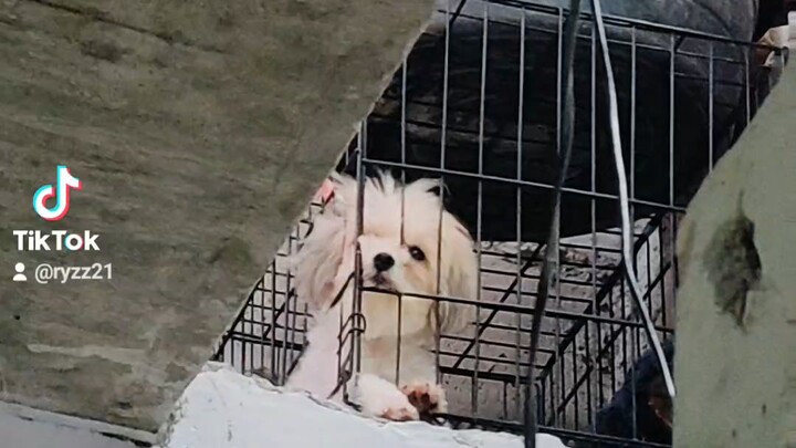 yung malungkot ka , pero mas malungkot ung kumakanta  HAHAHA😂
