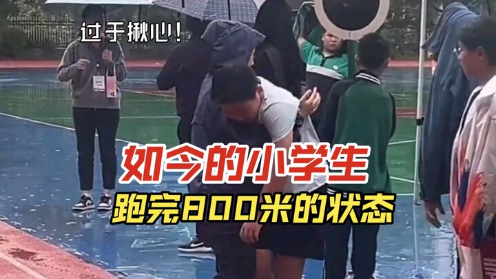 Trạng thái của các học sinh tiểu học ngày nay sau khi chạy xong 800 mét, ai nấy đều gần như ngã quỵ 