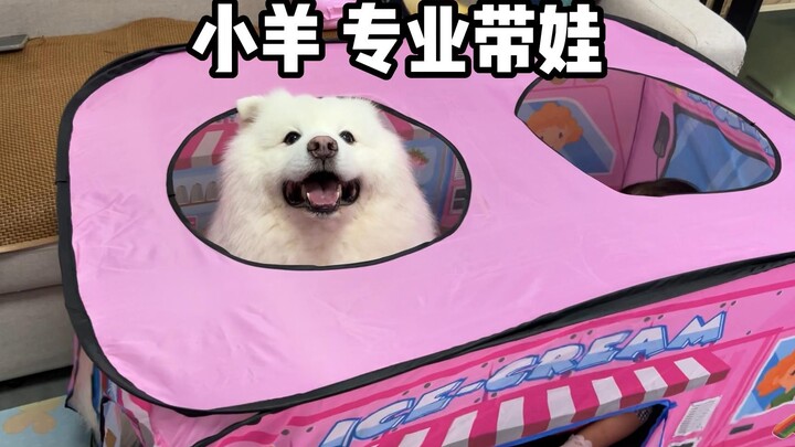 只要小狗狗在，小朋友的这些过家家游戏就永远轮不到我