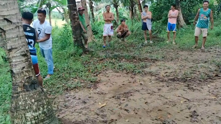 talo na nanalo pa 😅👌