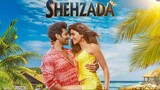 Shehzada.(2023). Hindi