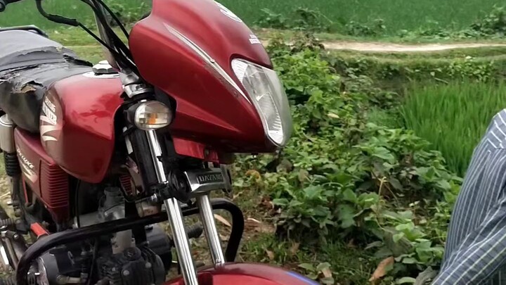Funny Video