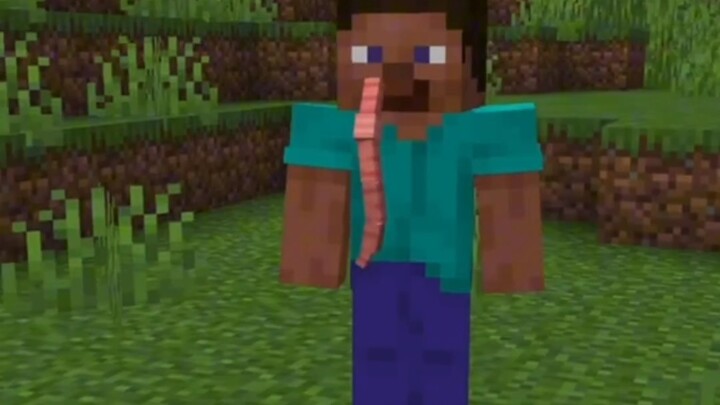 What happens when worms are added to Minecraft?