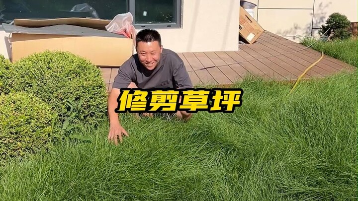 Lại bị bãi cỏ này dạy cho một bài học đau đớn