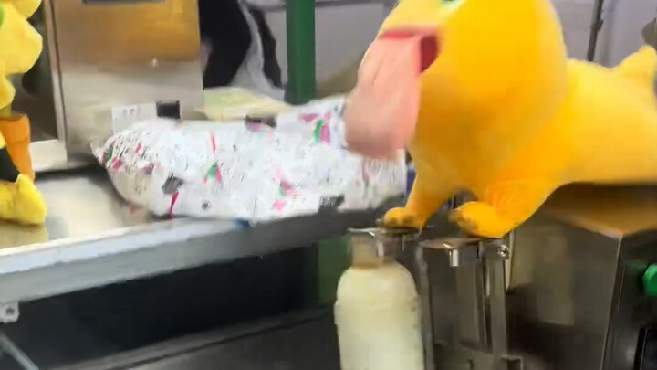 Pertama kali mendengar suara Nai Long