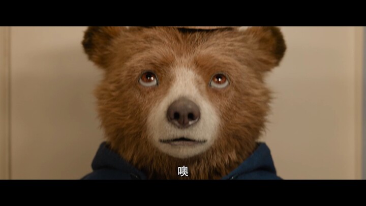 “หมีแพดดิงตัน 3: มหัศจรรย์ผจญภัยแดนเปรู” ยืนยันเข้าฉายในไทยแล้ว หมีแพดดิงตันกลับมาอีกครั้งในรอบ 7 ปี