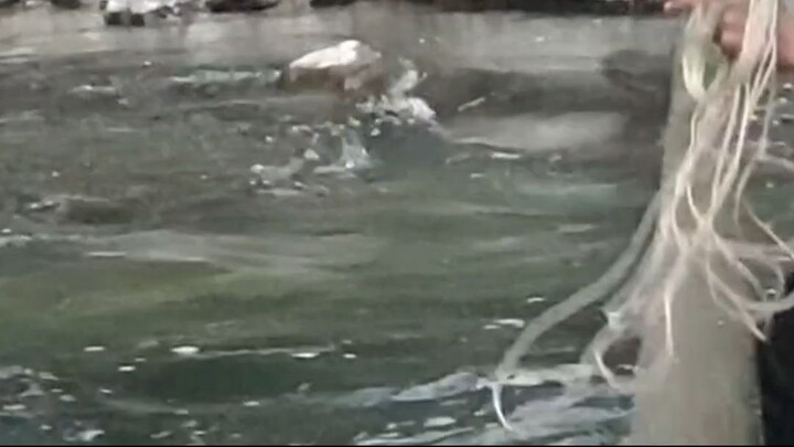 cast net fishing in Nepal | himalayan trout fishing with handmade cast net |